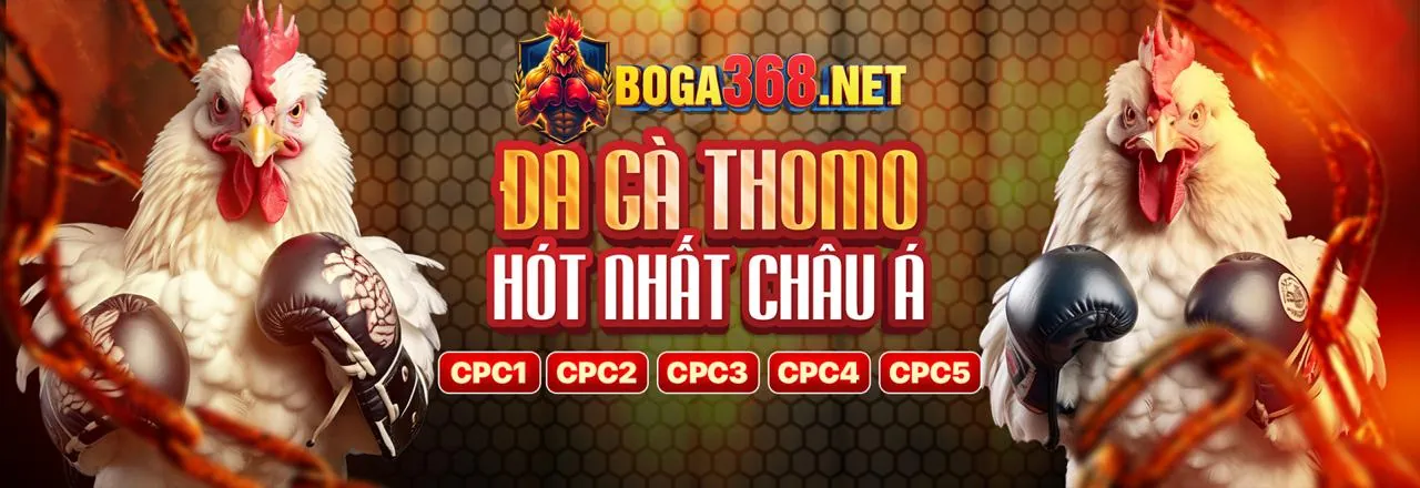 Chơi có trách nhiệm zv99 win